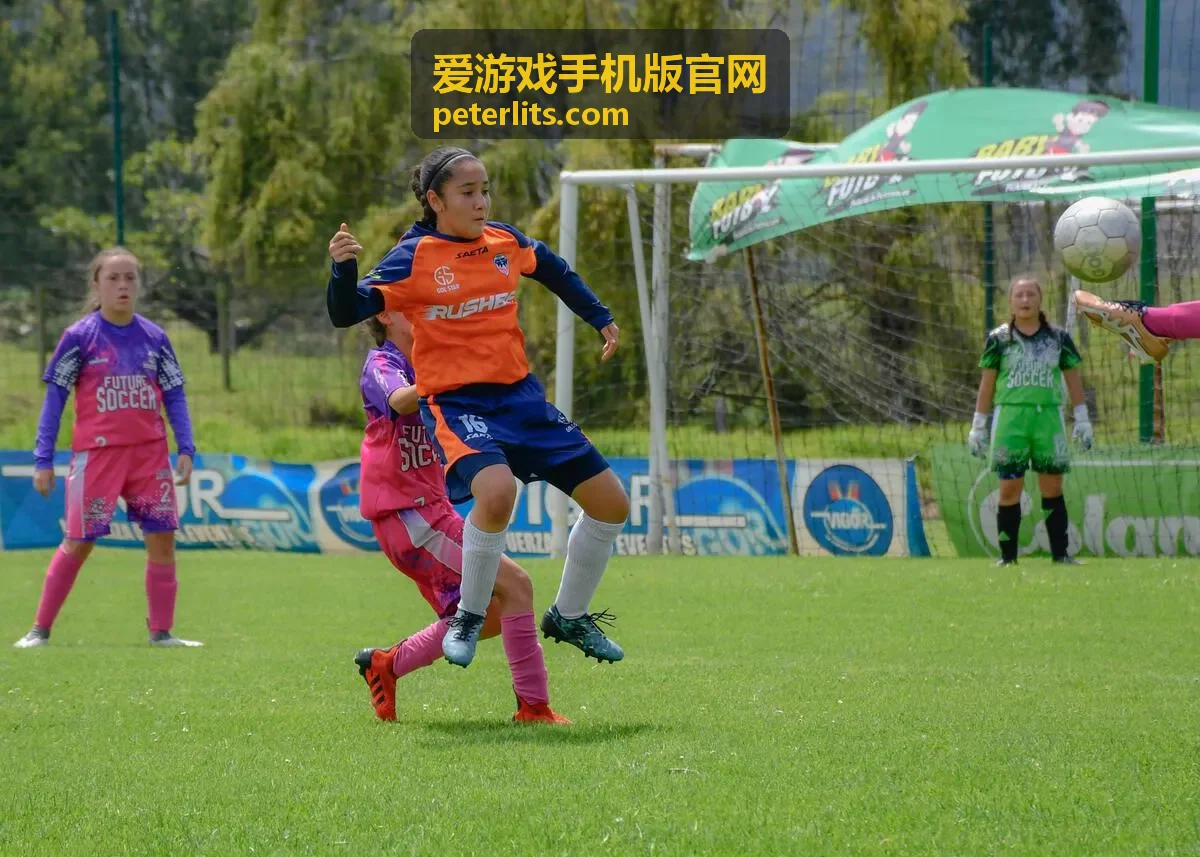 爱游戏手机版官网卡顿排查缩略图